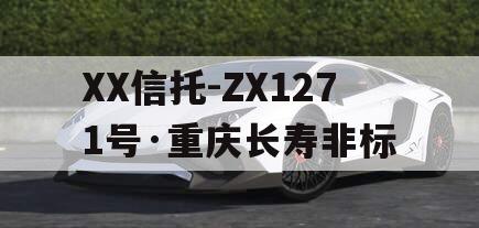 XX信托-ZX1271号·重庆长寿非标