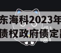 山东海科2023年发展债权政府债定融