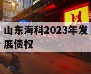 山东海科2023年发展债权