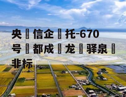 央‮信企‬托-670号‮都成‬龙‮驿泉‬非标