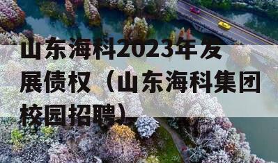 山东海科2023年发展债权（山东海科集团校园招聘）