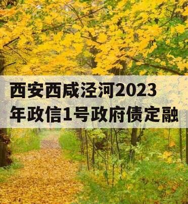 西安西咸泾河2023年政信1号政府债定融