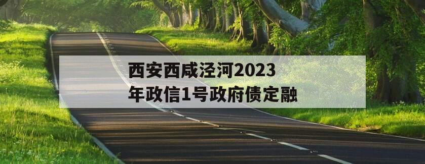 西安西咸泾河2023年政信1号政府债定融