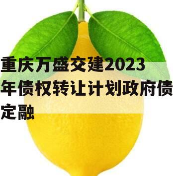 重庆万盛交建2023年债权转让计划政府债定融