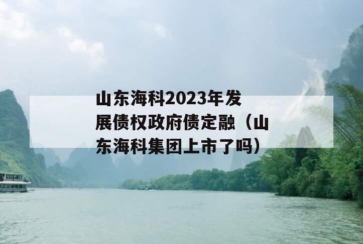 山东海科2023年发展债权政府债定融（山东海科集团上市了吗）