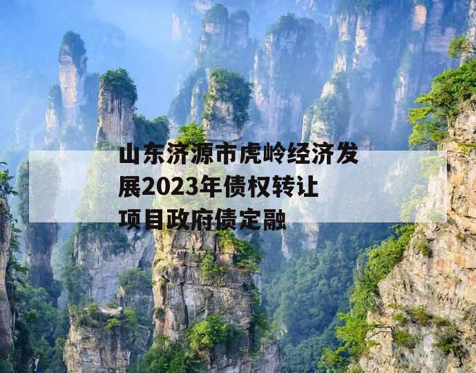 山东济源市虎岭经济发展2023年债权转让项目政府债定融