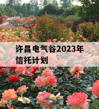 许昌电气谷2023年信托计划