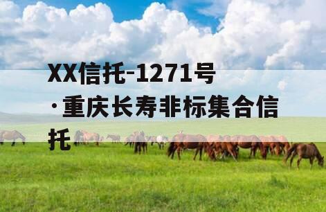 XX信托-1271号·重庆长寿非标集合信托