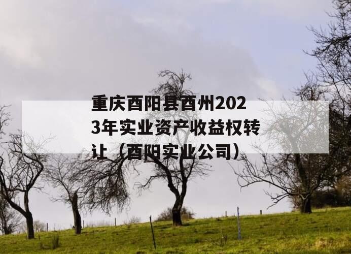 重庆酉阳县酉州2023年实业资产收益权转让（酉阳实业公司）