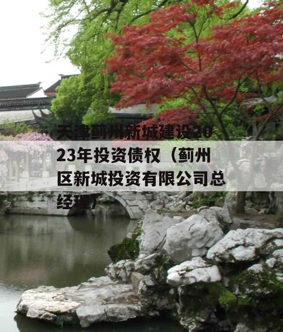 天津蓟州新城建设2023年投资债权（蓟州区新城投资有限公司总经理）