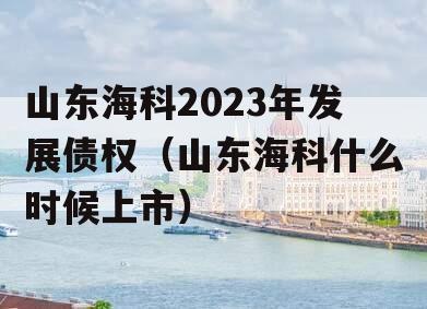 山东海科2023年发展债权（山东海科什么时候上市）