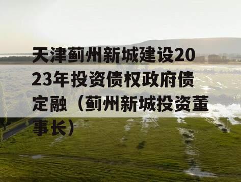 天津蓟州新城建设2023年投资债权政府债定融（蓟州新城投资董事长）