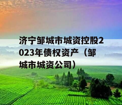 济宁邹城市城资控股2023年债权资产（邹城市城资公司）