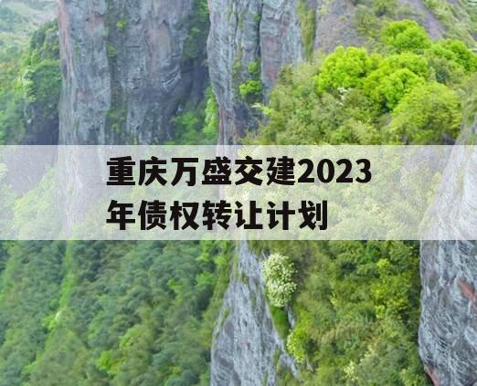 重庆万盛交建2023年债权转让计划