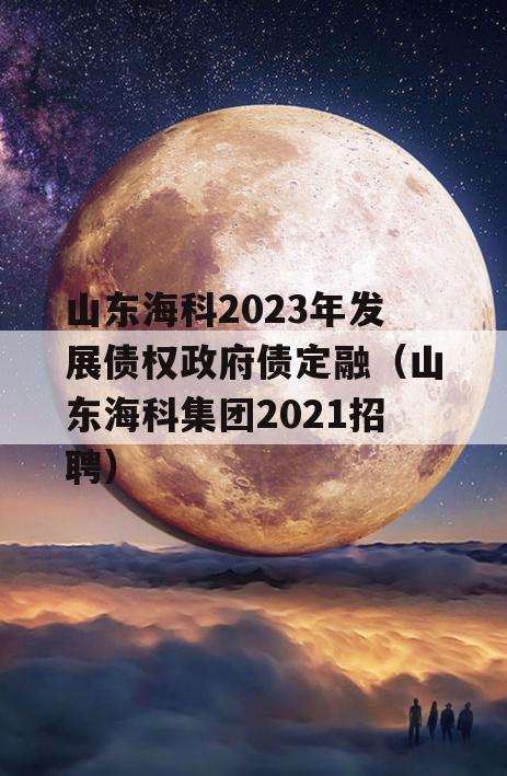 山东海科2023年发展债权政府债定融（山东海科集团2021招聘）