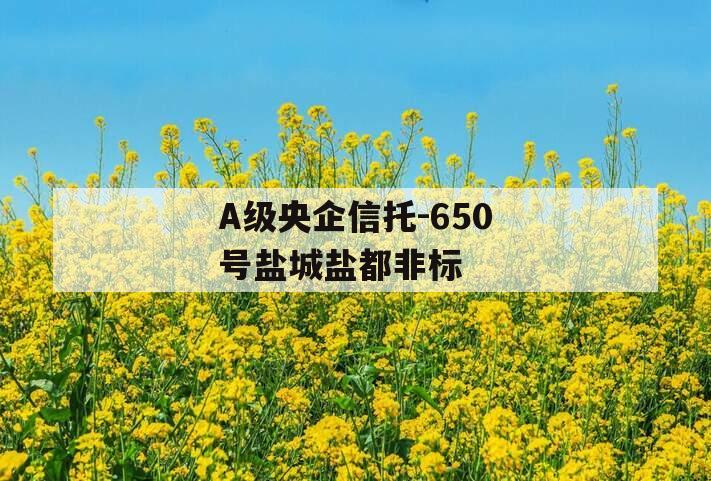 A级央企信托-650号盐城盐都非标