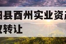 酉阳县酉州实业资产收益权转让