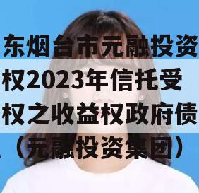 山东烟台市元融投资财产权2023年信托受益权之收益权政府债定融（元融投资集团）