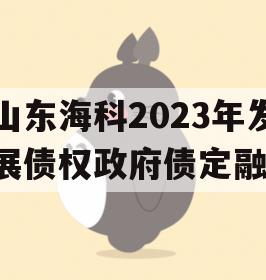 山东海科2023年发展债权政府债定融