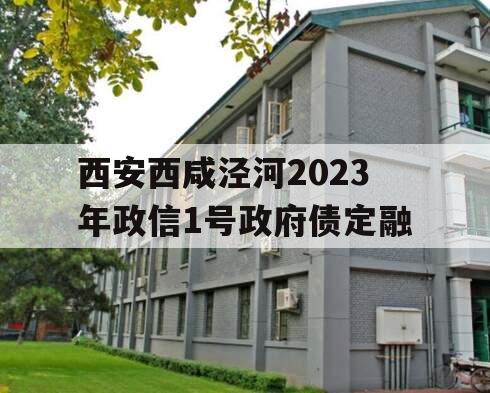 西安西咸泾河2023年政信1号政府债定融