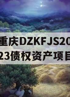 重庆DZKFJS2023债权资产项目