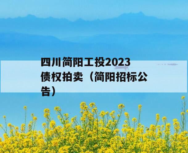 四川简阳工投2023债权拍卖（简阳招标公告）