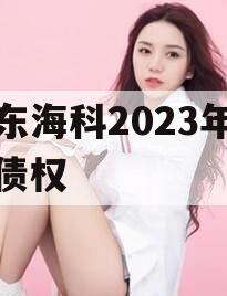 山东海科2023年发展债权