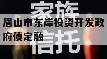 眉山市东岸投资开发政府债定融