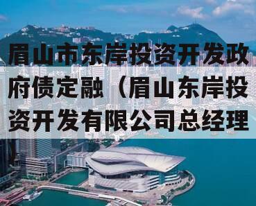 眉山市东岸投资开发政府债定融（眉山东岸投资开发有限公司总经理）