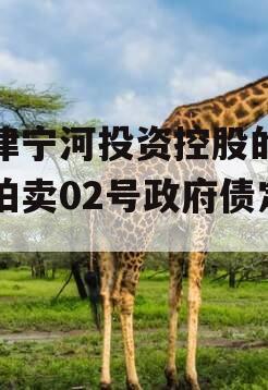 天津宁河投资控股的债权拍卖02号政府债定融