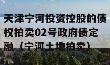 天津宁河投资控股的债权拍卖02号政府债定融（宁河土地拍卖）