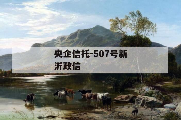 央企信托-507号新沂政信