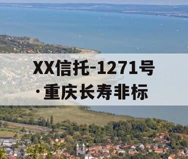 XX信托-1271号·重庆长寿非标