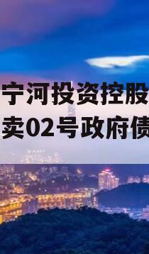 天津宁河投资控股的债权拍卖02号政府债定融