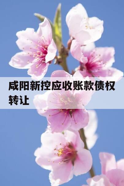 咸阳新控应收账款债权转让