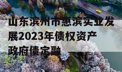 山东滨州市惠滨实业发展2023年债权资产政府债定融