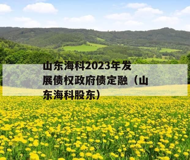 山东海科2023年发展债权政府债定融（山东海科股东）