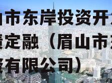 眉山市东岸投资开发政府债定融（眉山市东岸投资有限公司）