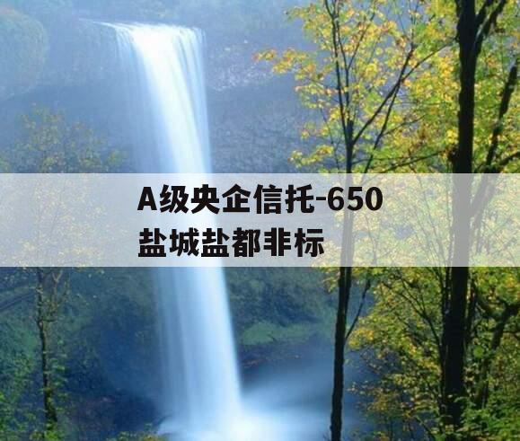 A级央企信托-650盐城盐都非标