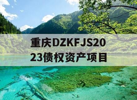 重庆DZKFJS2023债权资产项目