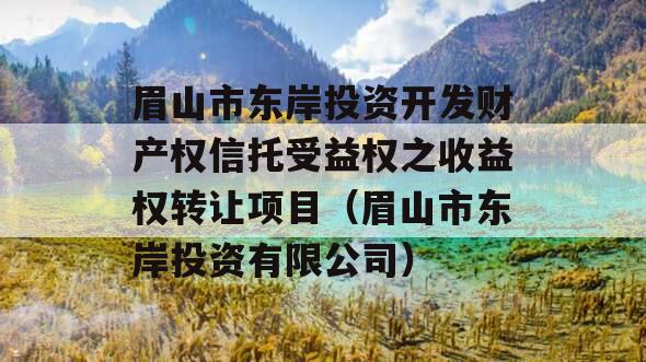 眉山市东岸投资开发财产权信托受益权之收益权转让项目（眉山市东岸投资有限公司）