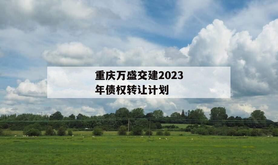 重庆万盛交建2023年债权转让计划