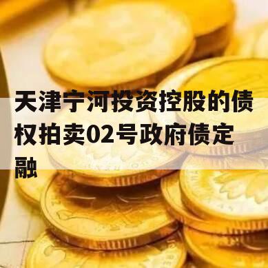 天津宁河投资控股的债权拍卖02号政府债定融