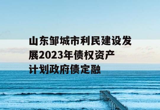 山东邹城市利民建设发展2023年债权资产计划政府债定融