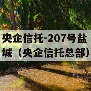 央企信托-207号盐城（央企信托总部）