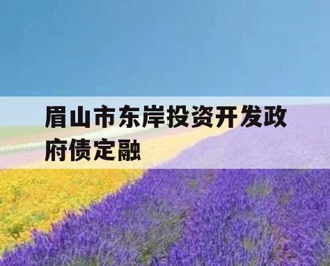 眉山市东岸投资开发政府债定融