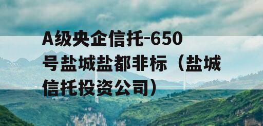 A级央企信托-650号盐城盐都非标（盐城信托投资公司）