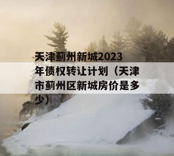 天津蓟州新城2023年债权转让计划（天津市蓟州区新城房价是多少）