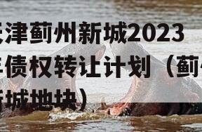 天津蓟州新城2023年债权转让计划（蓟州新城地块）