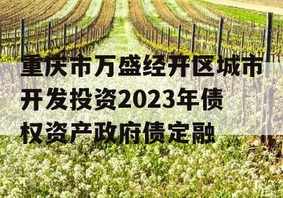 重庆市万盛经开区城市开发投资2023年债权资产政府债定融